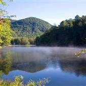Palmetto Bible Camp