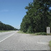 Caw Caw - Overview