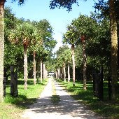 Beech Hill Plantation GROUNDS