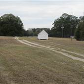 Friendfield Plantation - Cabins & Fields