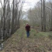 Nemours Wildlife Foundation - "Tupelo Swamp"