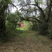Ashem Farm County Park - Red Stable AND Surroundings
