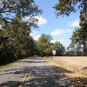 Randall Road