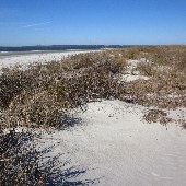 Sullivan's Island - Deserted Beach Area 3
