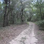 Dungannon Plantation - Hunt Camp Rd C
