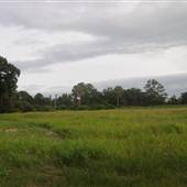 Hamlin Farms - Auggie Field