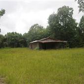 Stono River Stables - LB's Shed
