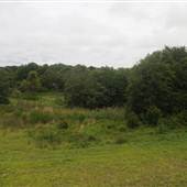 Kiawah River Plantation Larrys Stand