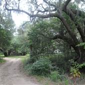 Kiawah River Plantation - Causeway