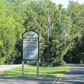 Palmetto Islands County Park - October