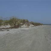 Seabrook Island & Beach