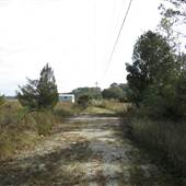 Bears Bluff National Fish Hatchery - Marsh Area 2