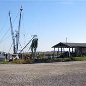 B & B Seafood