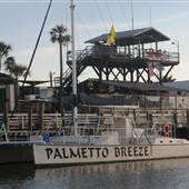 Palmetto Breeze