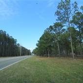 Edisto Island - Highway 174 - Pine Landing Road to Dawhoo Bridge