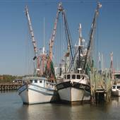 Shem Creek
