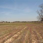 Garners Ferry Road Field
