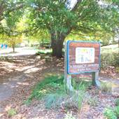 Clemson Extension Children's Garden