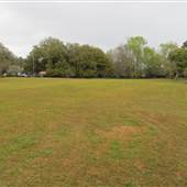 Oakland Plantation - Late March Looks
