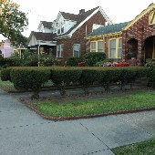 Wagener Terrace