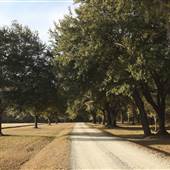 The Blessing Plantation - Mid December Looks
