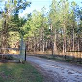 Wappaoolah Plantation - Mepkin Tract