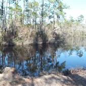 Pumphouse Landing Rd