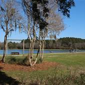 James Island County Park - February Looks