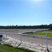 Springdale Race Course