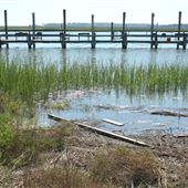 Bowens Island