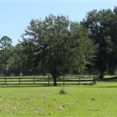 The Blessing Plantation -- Pastures & Fences (September 2018)