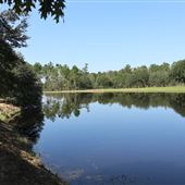 The Blessing Plantation - Pond (September 2018)