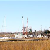 Shem Creek Seafood Companies - December 2018