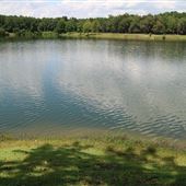 Oakland Plantation - KOA / Oakland Border Lake Areas