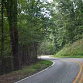 Newton Road