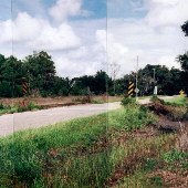 Thackery Farms