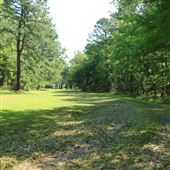 Hyde Park Plantation - Distant Shots