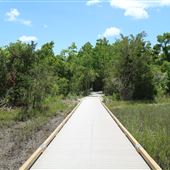 Stono River County Park - The Island Trails