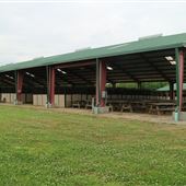 John's Island County Park - Stables
