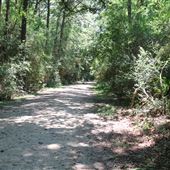 Laurel Hill County Park