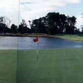 Secession Golf Club - 8th Hole