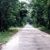 Blackground Rd.