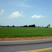 McGowan Dairy