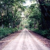 Edisto Beach State Park - Roads