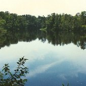 Munnerlyn's Pond