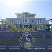 Pelican Paradise