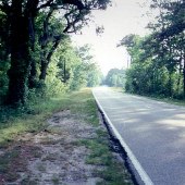 HWY. 17 Avenue of Oaks Entrance