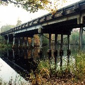 Black Mingo Creek