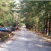Laurel Valley Road