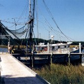 Bradley's Dock